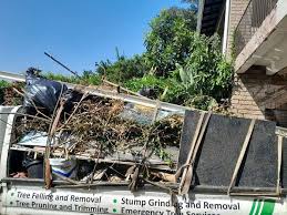 Best Basement Cleanout  in Friendswood, TX